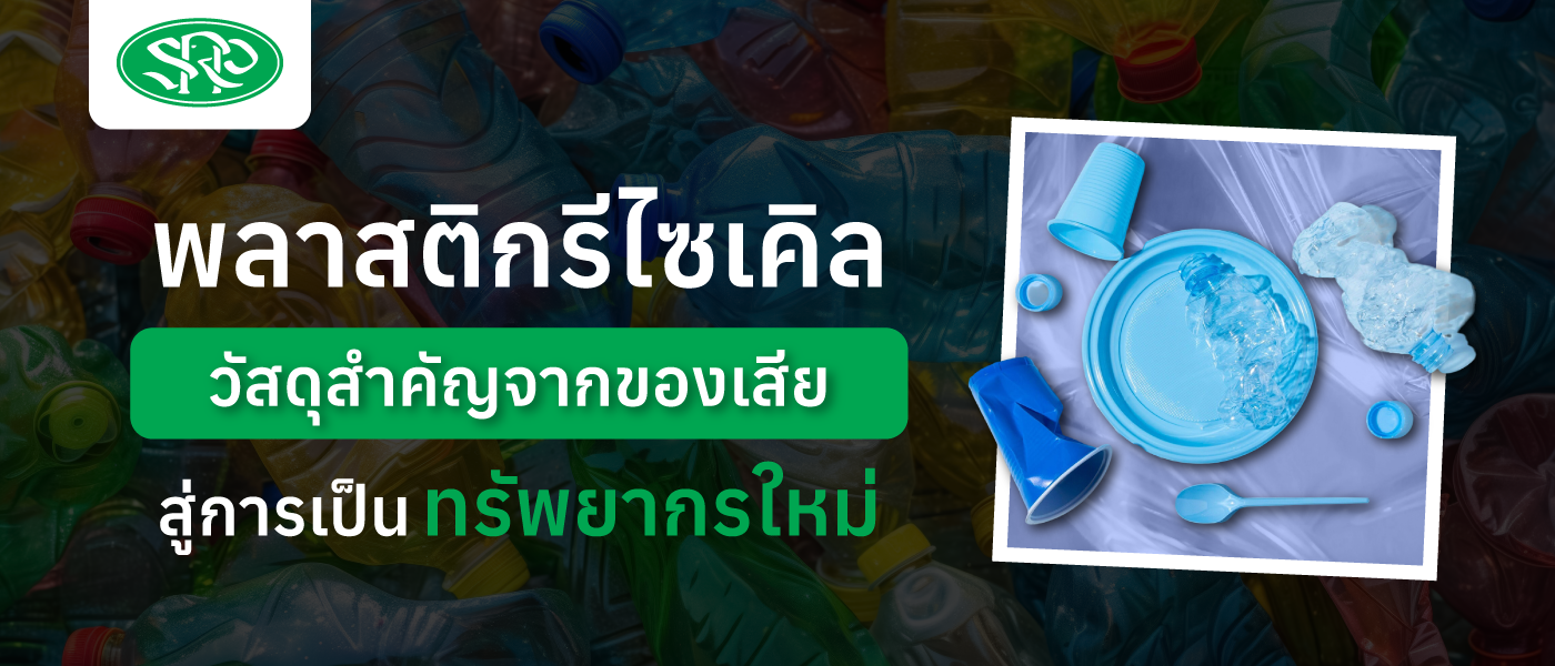 พลาสติกรีไซเคิล วัสดุสำคัญจากของเสียสู่การเป็นทรัพยากรใหม่